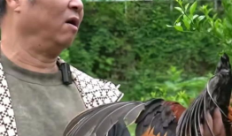 国产精品开放90后,90后眼中的时代风采